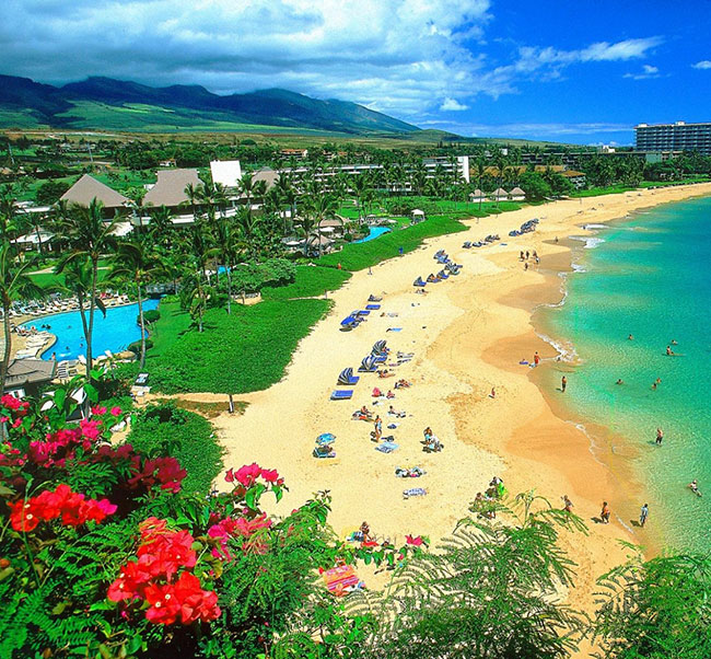 Hawaii Vacations 