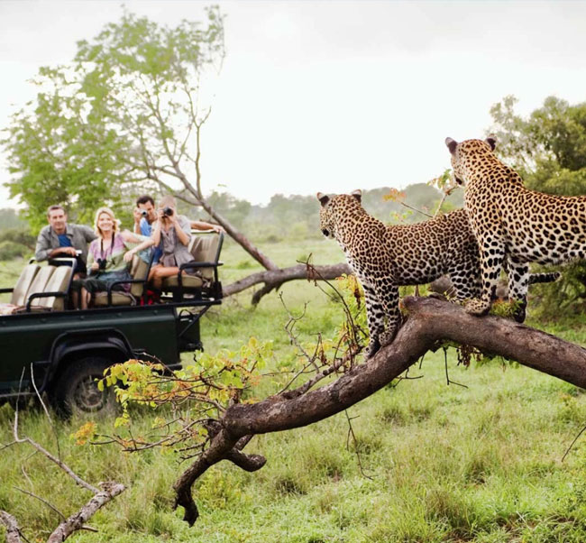 Active Vacations: South Africa Safaris