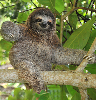 Costa Rica & Central America Vacations