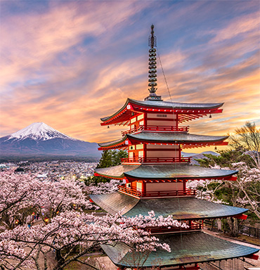 Japan Vacations