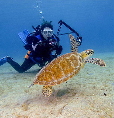 Virgin Islands Vacations