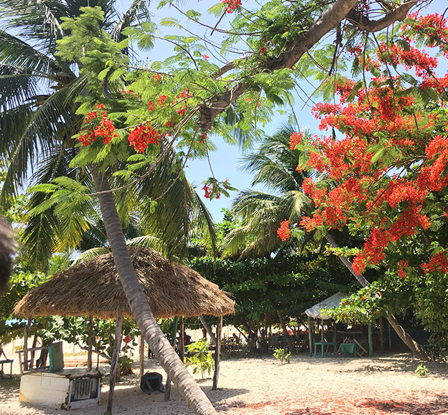All Inclusive Resorts