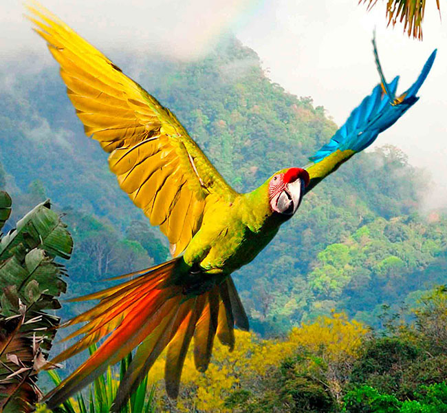 Costa Rica Vacations