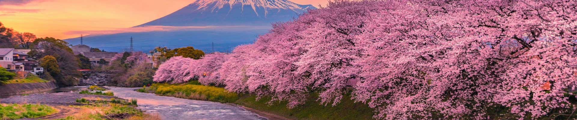 Japan Vacations