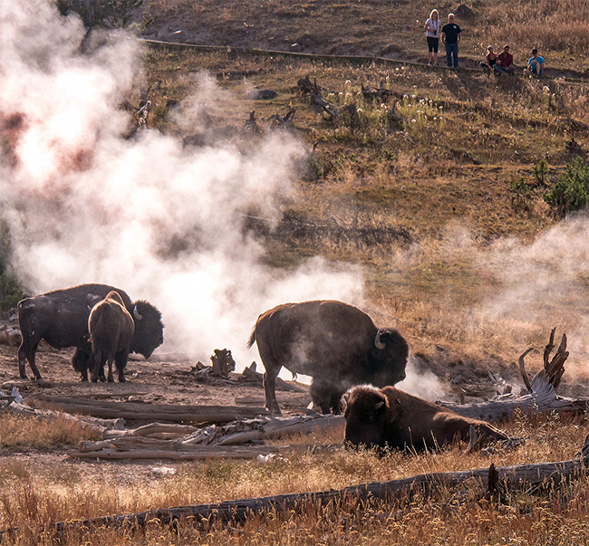 National Parks Vacations