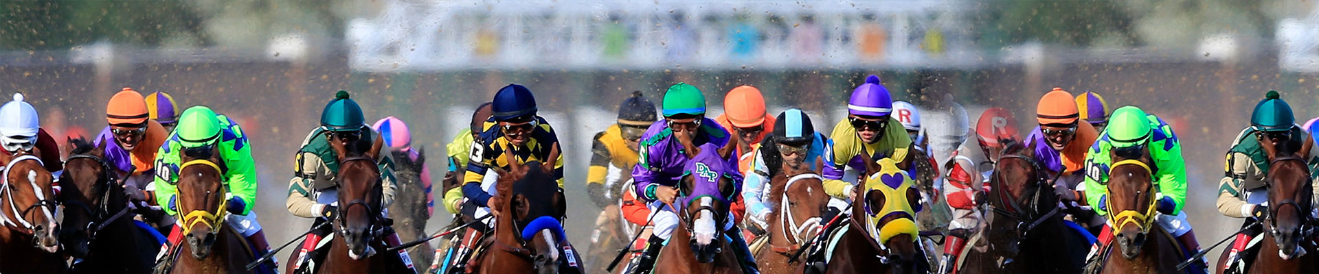 Sports Packages & Events