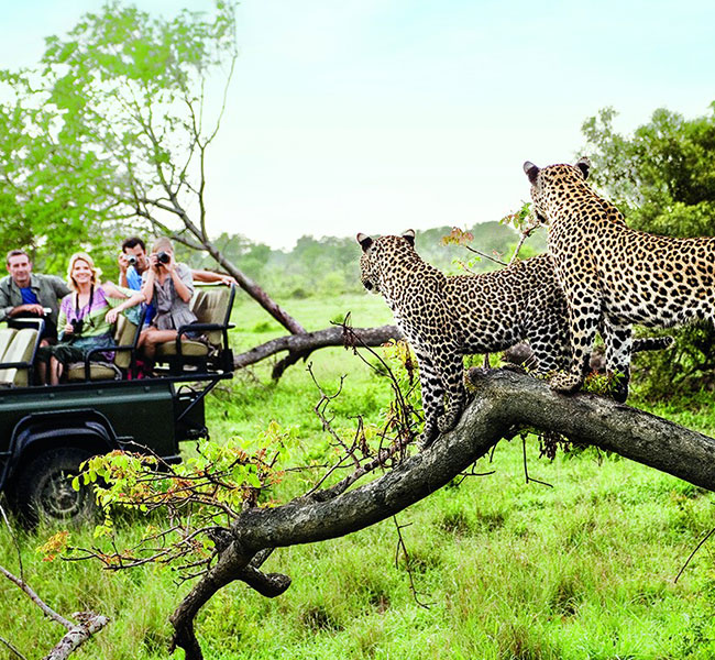 African Travel Inc