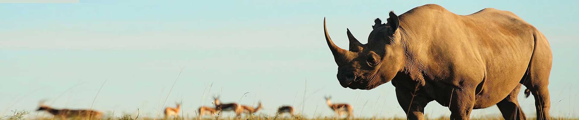Big Five Tours & Expeditions