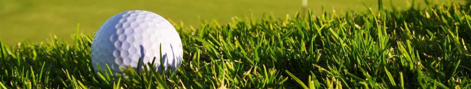 Golf Travel ETC
